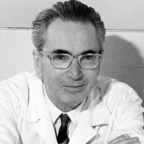 Viktor Frankl - El hombre en busca de sentido